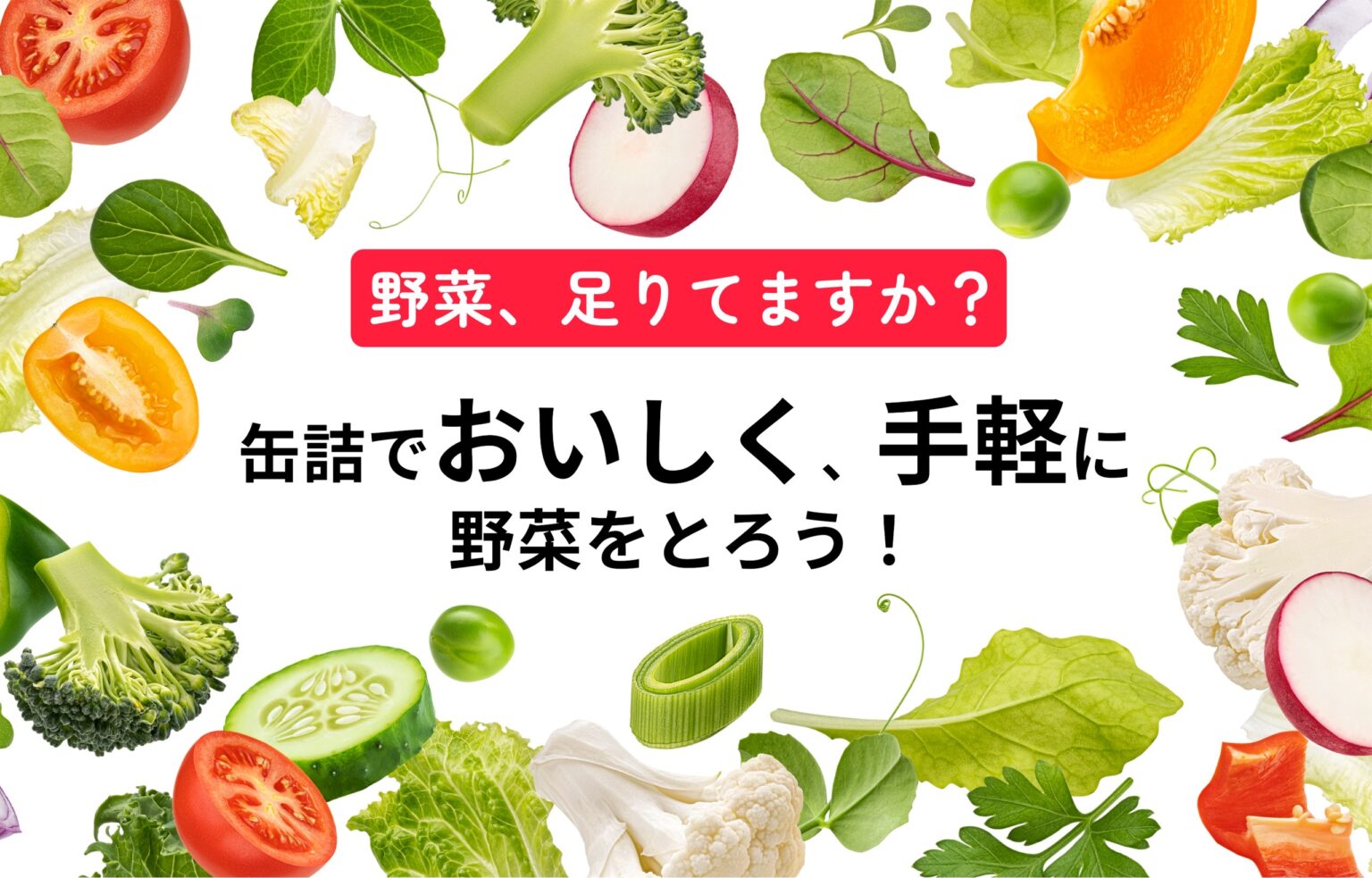 野菜缶詰特集